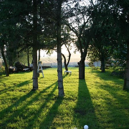Casa Mia Xix-W Nadmorski Dom Z Ogrodem Cedry Male Dış mekan fotoğraf