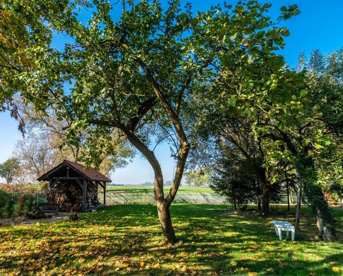 Casa Mia Xix-W Nadmorski Dom Z Ogrodem Cedry Male Dış mekan fotoğraf